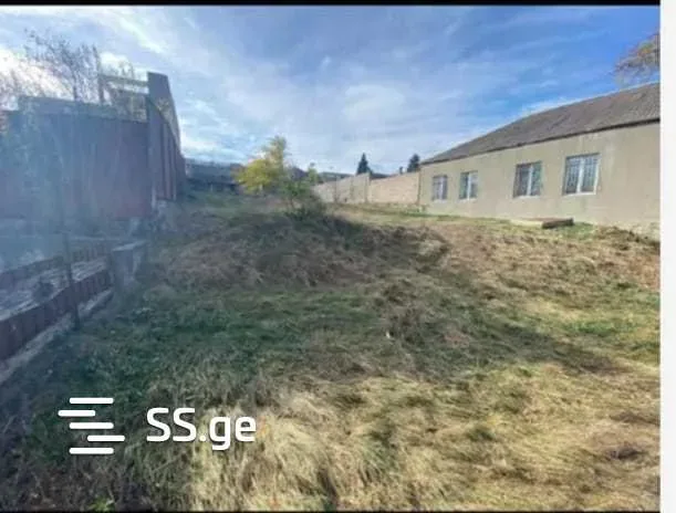 იყიდება მიწის ნაკვეთი, ისანი - ფოტო 4