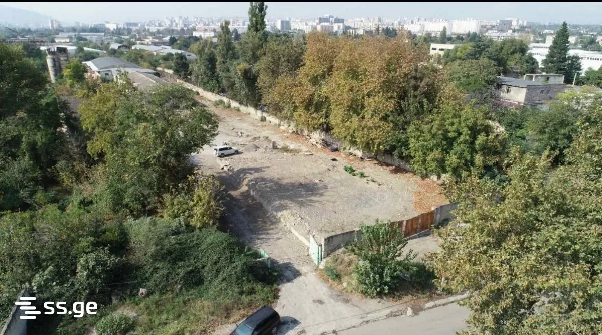 იყიდება მიწის ნაკვეთი, ნავთლუღი - ფოტო 3