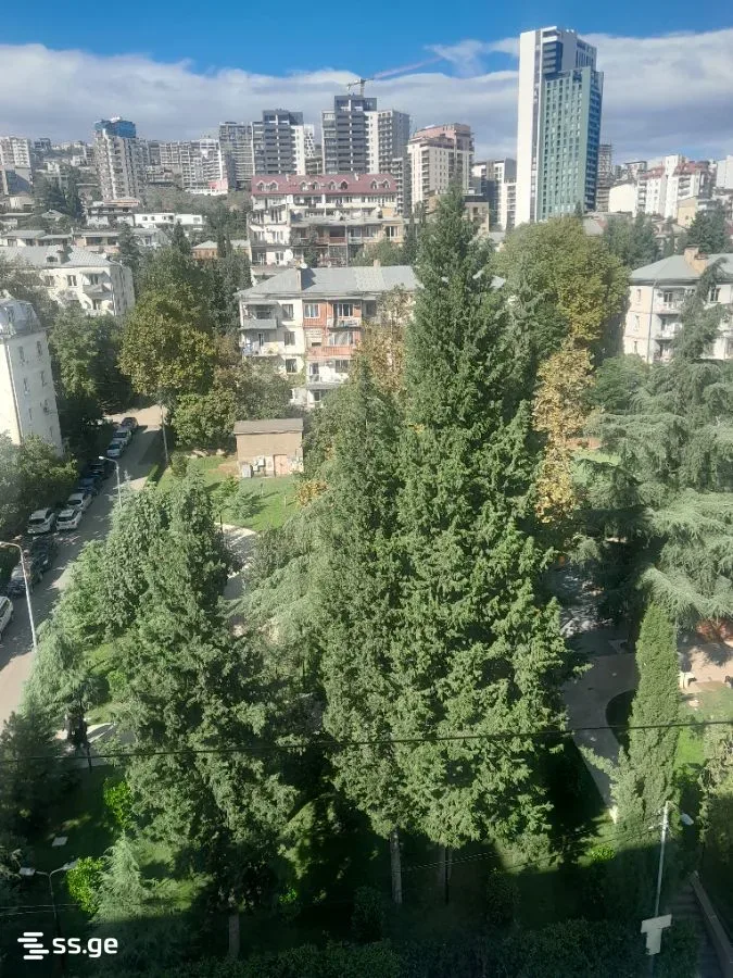 იყიდება 3-ოთახიანი ბინა, ვაკე-საბურთალო - ფოტო 10